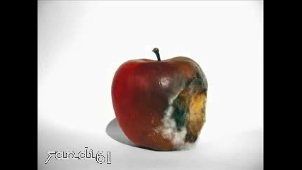 Как умира ябълка 