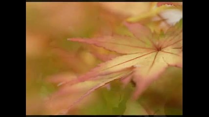 Magia dautunno