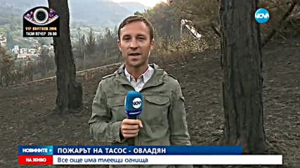 УКРОТЕНА СТИХИЯ: Локализираха пожара на Тасос