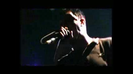 Sick Of It All - No Cure Live