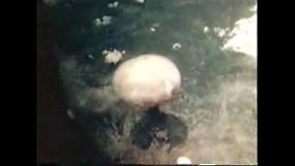 Hiroshima & Nagasaki - Original 1945 Documentary
