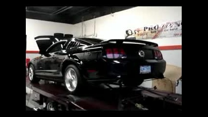 Dyno.