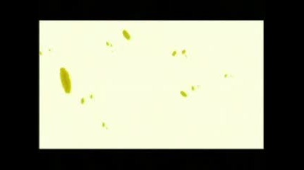 Oni Bungie - Intro