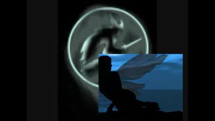 Movie.wmv