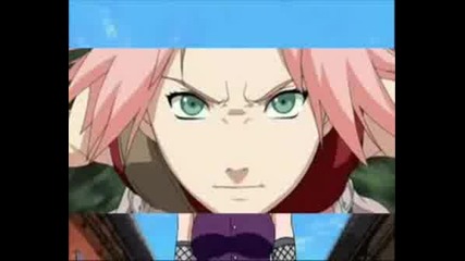 Sakura And No - Friends Forever