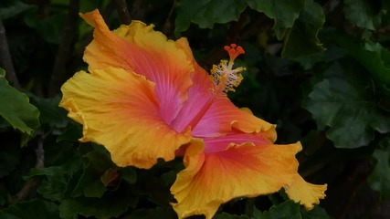 Ernesto Cortazar - Piano Concerto No. 1 - Happy Days