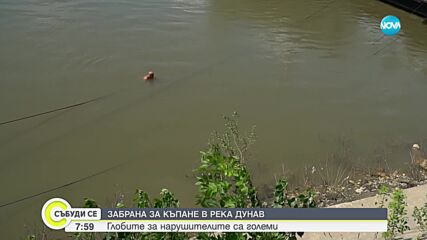 Забрана за къпане в река Дунав