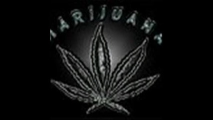 King - Size & Joint