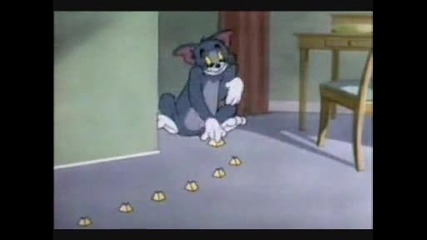 Tom & Jerry - Nit - Witty Kitty