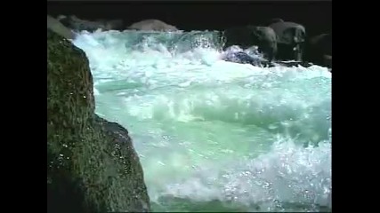 Rainforest Beautiful Relaxing Music - Ken Davis - Endless Emotion From Crystal Clear