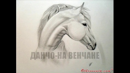 Данчо - На венчане