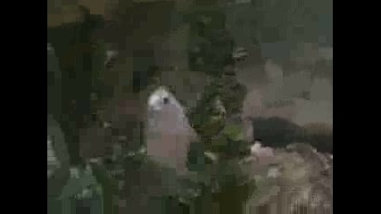 Малката Друсалка