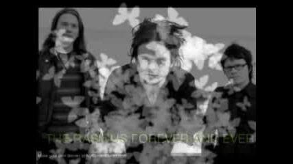 The Rasmus Black Roses