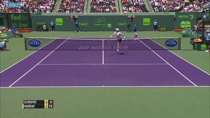 Miami Final 2015 - a Couple Of Hot Shots By Andy Murray