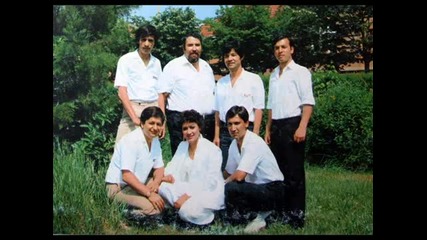 Sasa Petrovic Zaljubljeno srce
