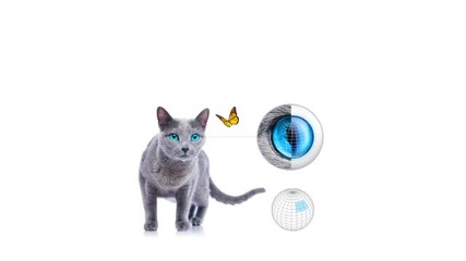 Best Home Security Monitoring in Canada
