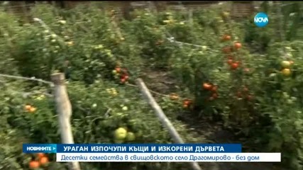 Новините на Нова (03.08.2015 - следобедна)