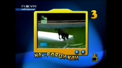 Господари На Ефира - На Рояци.ком 