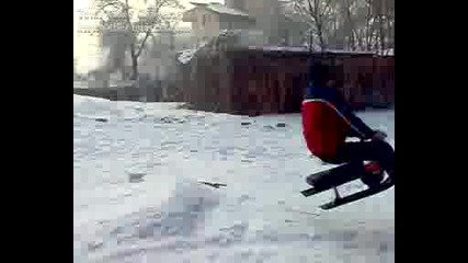 Пупсибото