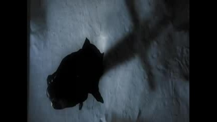 nightwish nemo (високо качество )