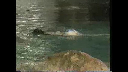 Anahi En Bikini Ao 2000