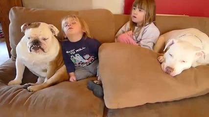 Куче и дете подремват - много смях 