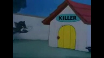 Tom i Jerry 