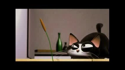 Roger The Cat