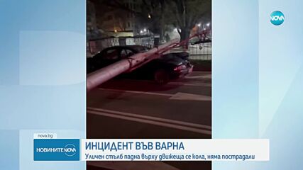 Уличен стълб се стовари върху движещ се автомобил във Варна