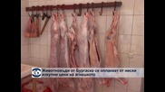 Животновъди в Бургаско се оплакват от ниски изкупни цени на агнешкото