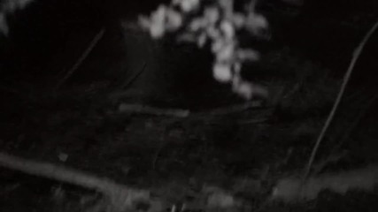 Kadavar - Last Living Dinosaur (official Video)