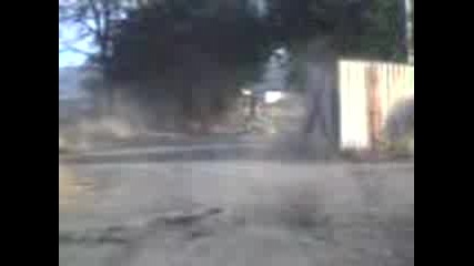 Lud Sus Simson (busmanci) 4