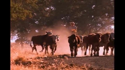 Shania Twain-any Man Of Mine
