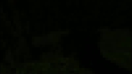 Dsnts Mini Movie