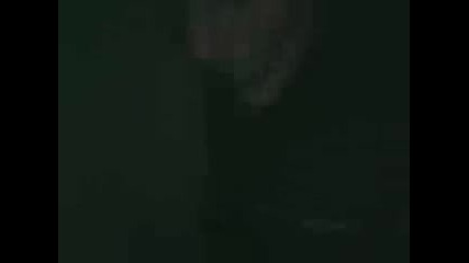пухчо мажът