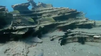 Вървейки С Чудовища Епизод 1 Високо Качество