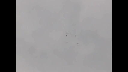 гълабите на аскито 