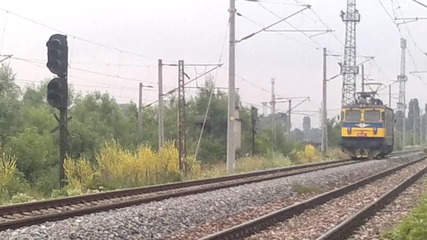 46242