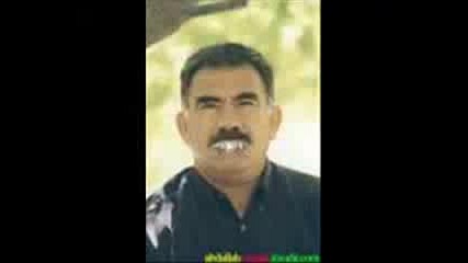 iste Pkk lesleri
