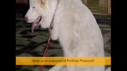смешни картинки - смях 100%