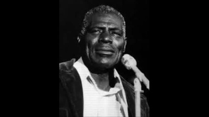 Howlin Wolf - I Didn t Mean To Hurt Your Feelings
