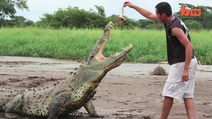 Екскурзоводи на сантиметри от смъртоносни крокодили