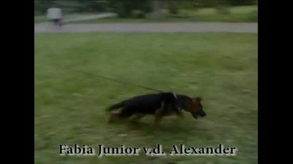 Fabia Junior v.d. Alexander - 5 месеца 