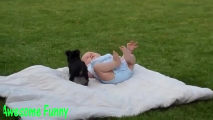 Компилация Смях ! Top Funny Animal Video 2015