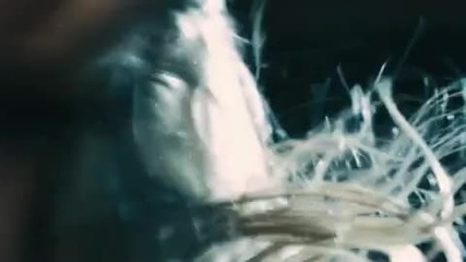 Ellie Goulding - Starry Eyed