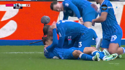 Goal by Brighton and Hove Albion