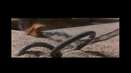 Gladiator 