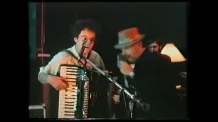 Black Sorrows - Brown Eyed Girl 