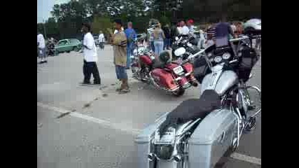 Harley Bikes