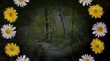 Маргарити